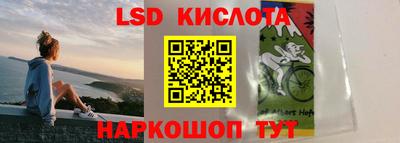 сатива Новозыбков