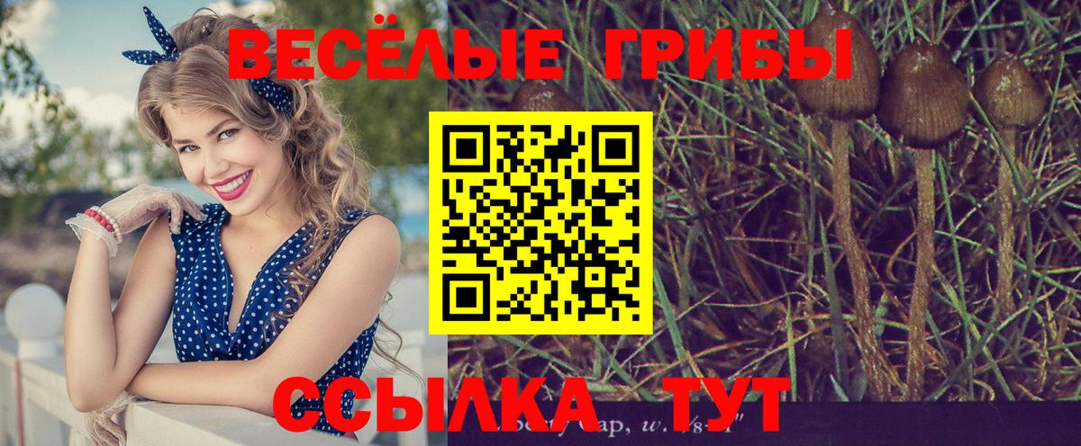 Якутск  Псилоцибиновые грибы Magic Shrooms  цены наркотик  Галлюциногенные грибы Psilocybe  Вход с VPN 