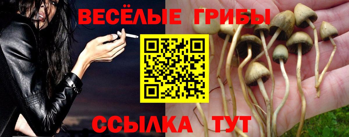 Псилоцибиновые грибы прущие грибы Якутск